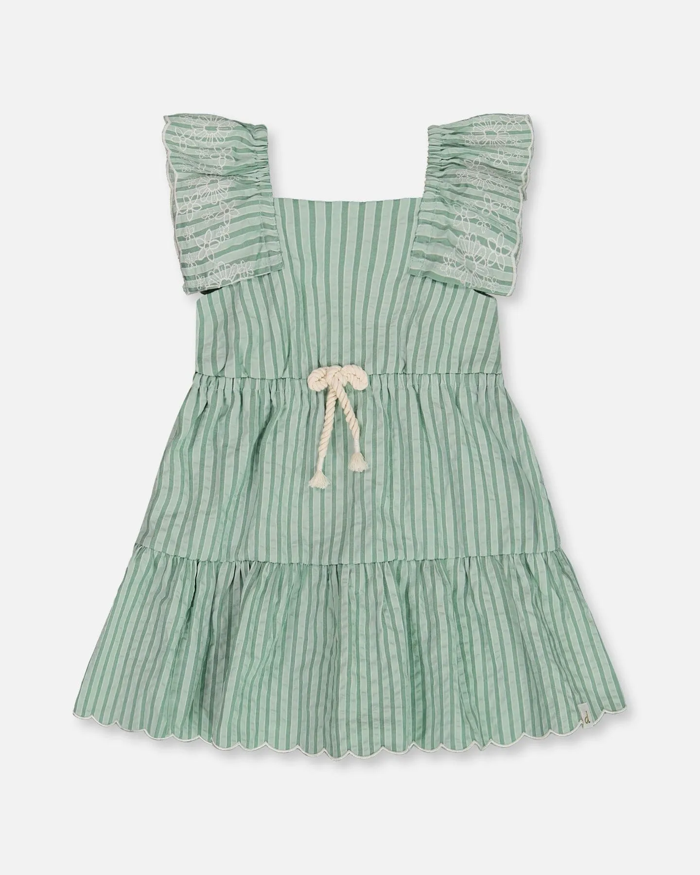 Chambray Dress With Embroidery Mint Green Striped