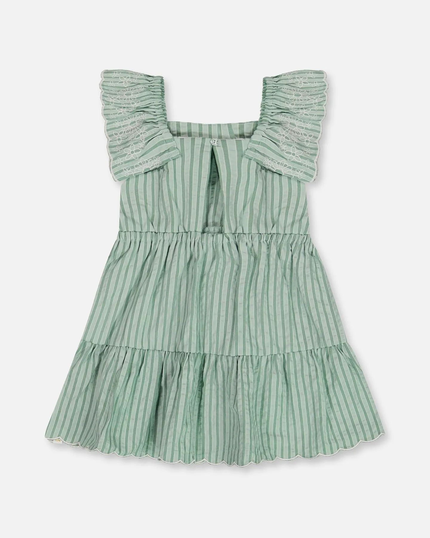 Chambray Dress With Embroidery Mint Green Striped