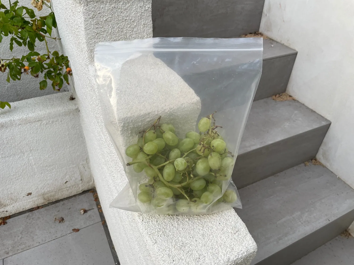 Clear Reclosable Bags - 4 Mil Thick, Food Grade Plastic