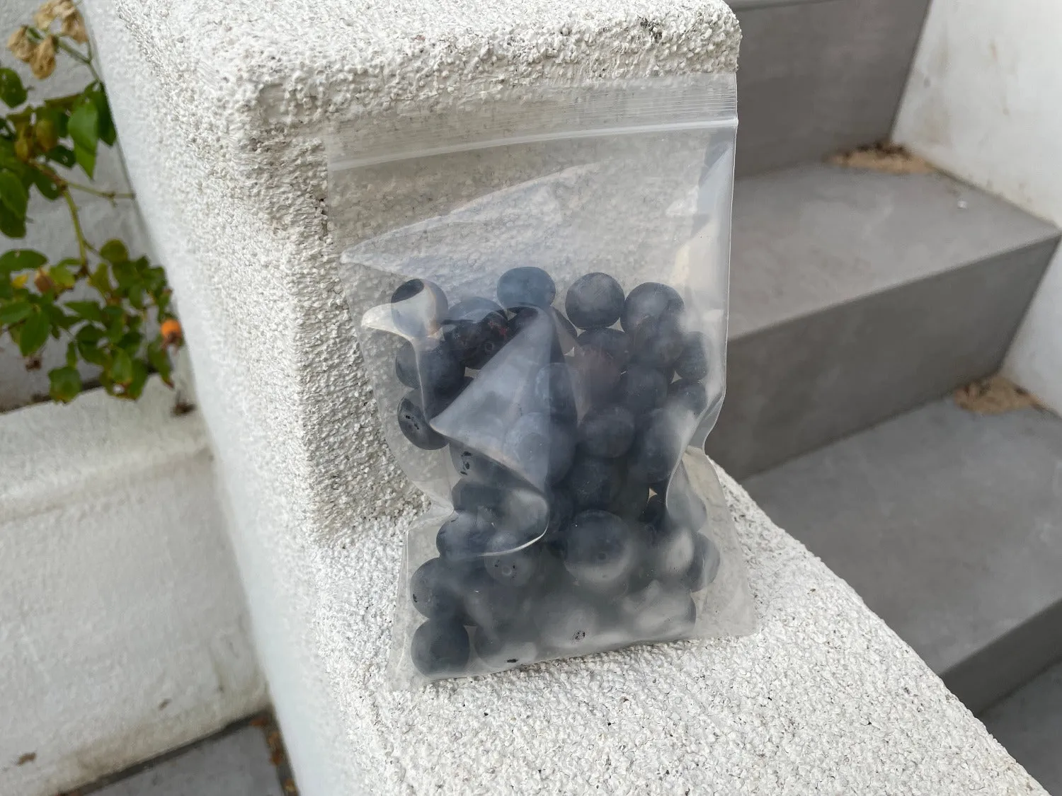 Clear Reclosable Bags - 4 Mil Thick, Food Grade Plastic