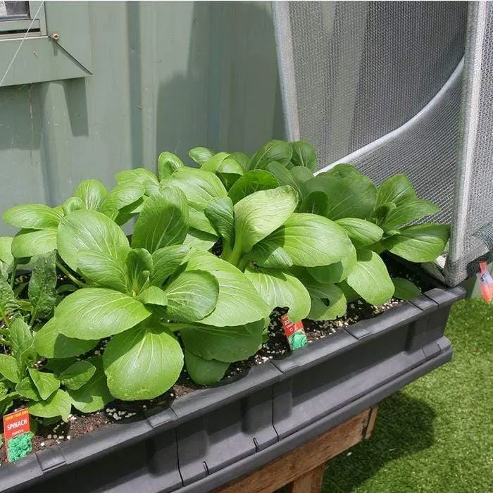 Vegepod Garden Bed with Canopy & Stand - Small